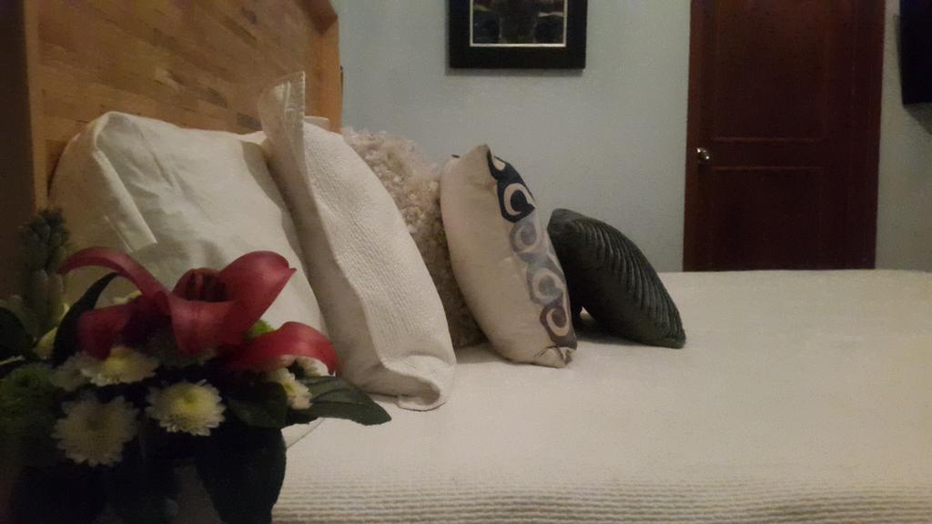 Bed and Breakfast La Querencia Df Meksyk Zewnętrze zdjęcie
