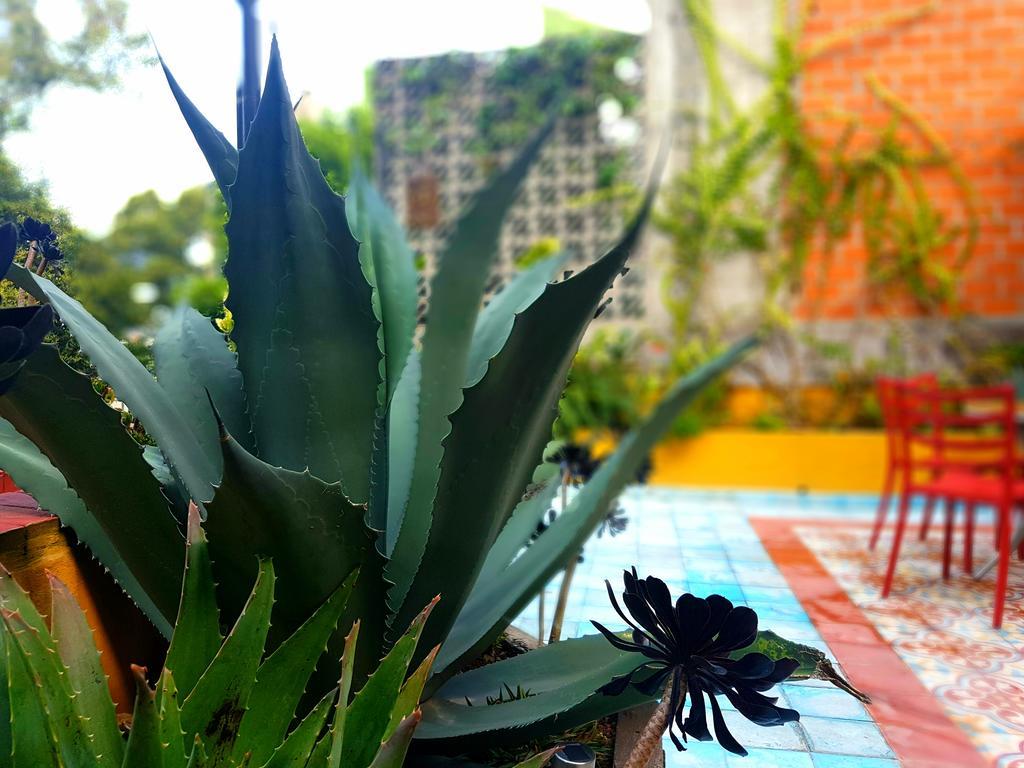 Bed and Breakfast La Querencia Df Meksyk Zewnętrze zdjęcie