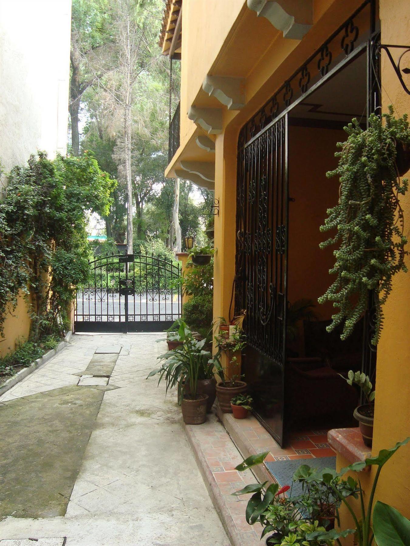Bed and Breakfast La Querencia Df Meksyk Zewnętrze zdjęcie