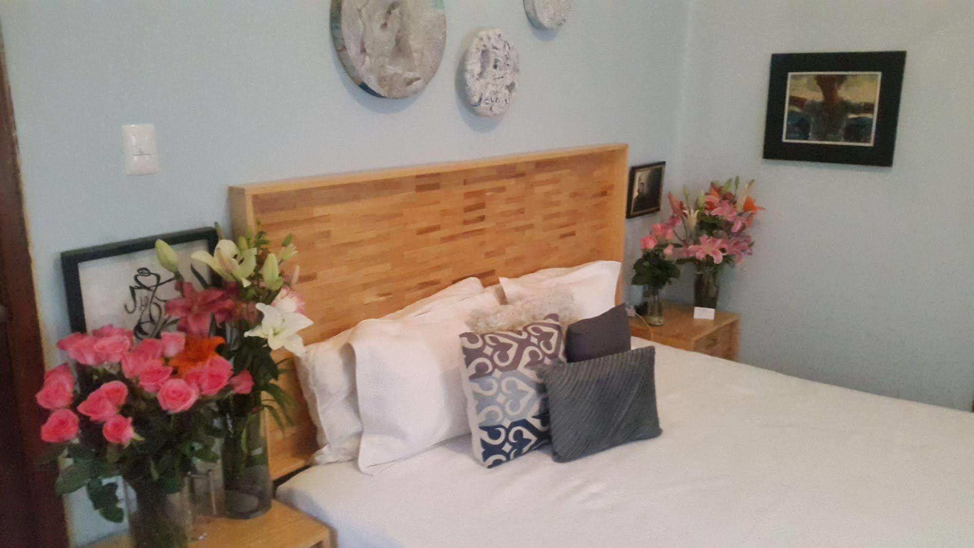 Bed and Breakfast La Querencia Df Meksyk Zewnętrze zdjęcie