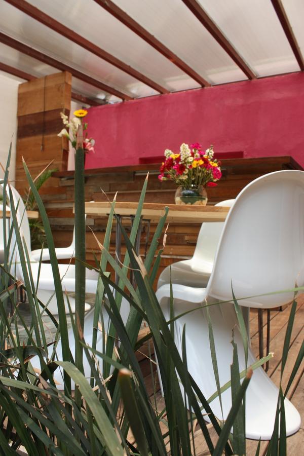 Bed and Breakfast La Querencia Df Meksyk Zewnętrze zdjęcie